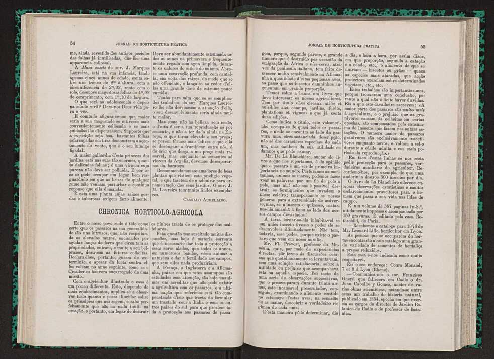 Jornal de horticultura prtica VII 39