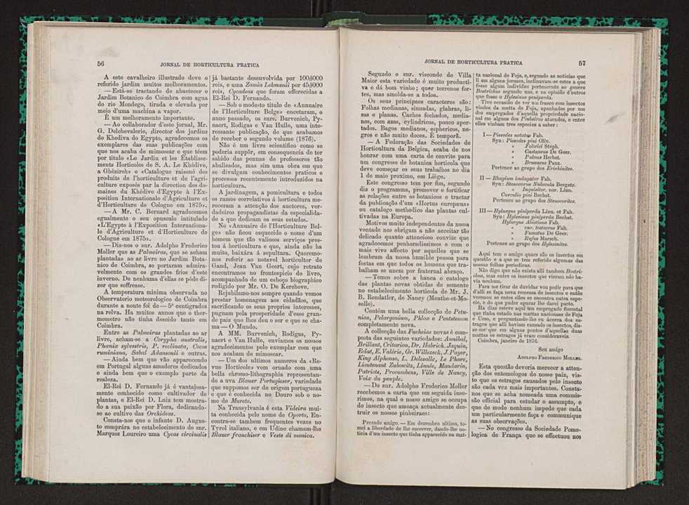 Jornal de horticultura prtica VII 40