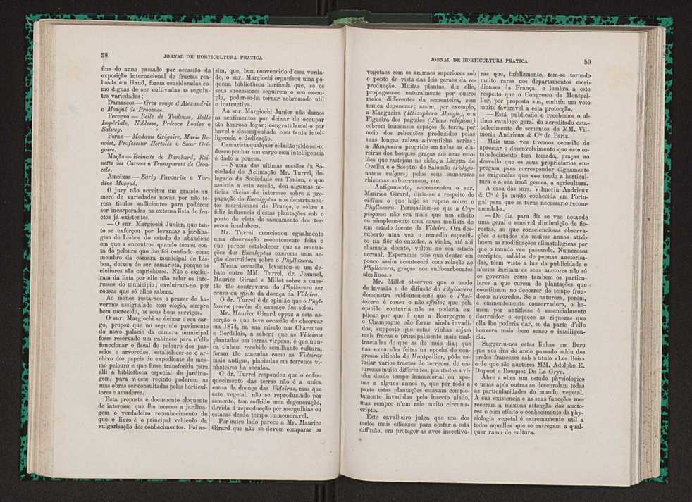Jornal de horticultura prtica VII 41