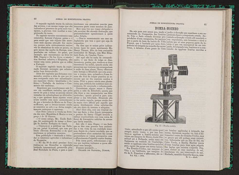 Jornal de horticultura prtica VII 42