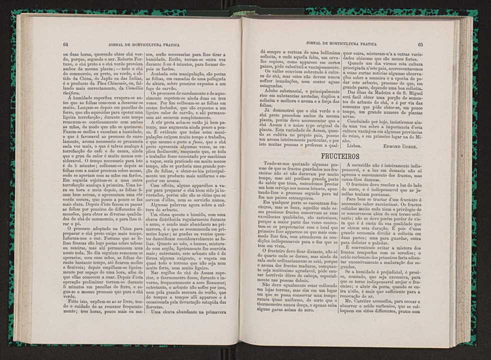 Jornal de horticultura prtica VII 44
