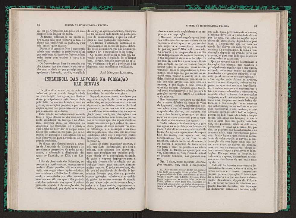 Jornal de horticultura prtica VII 45