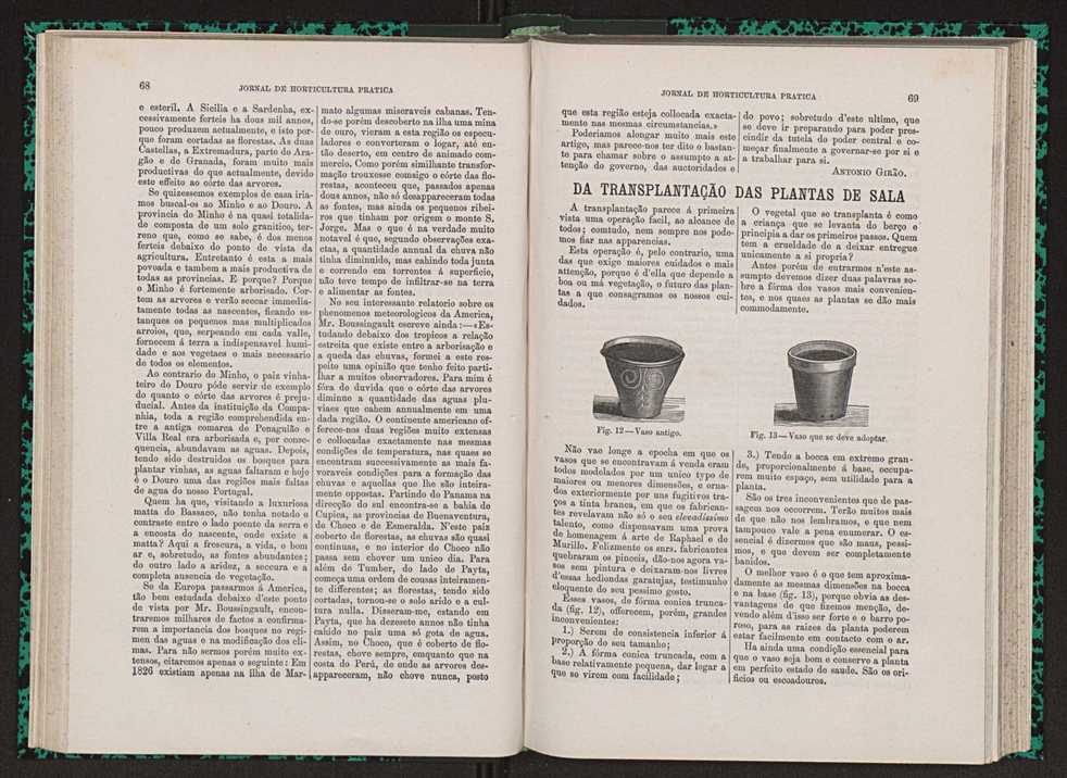 Jornal de horticultura pr�tica VII 46