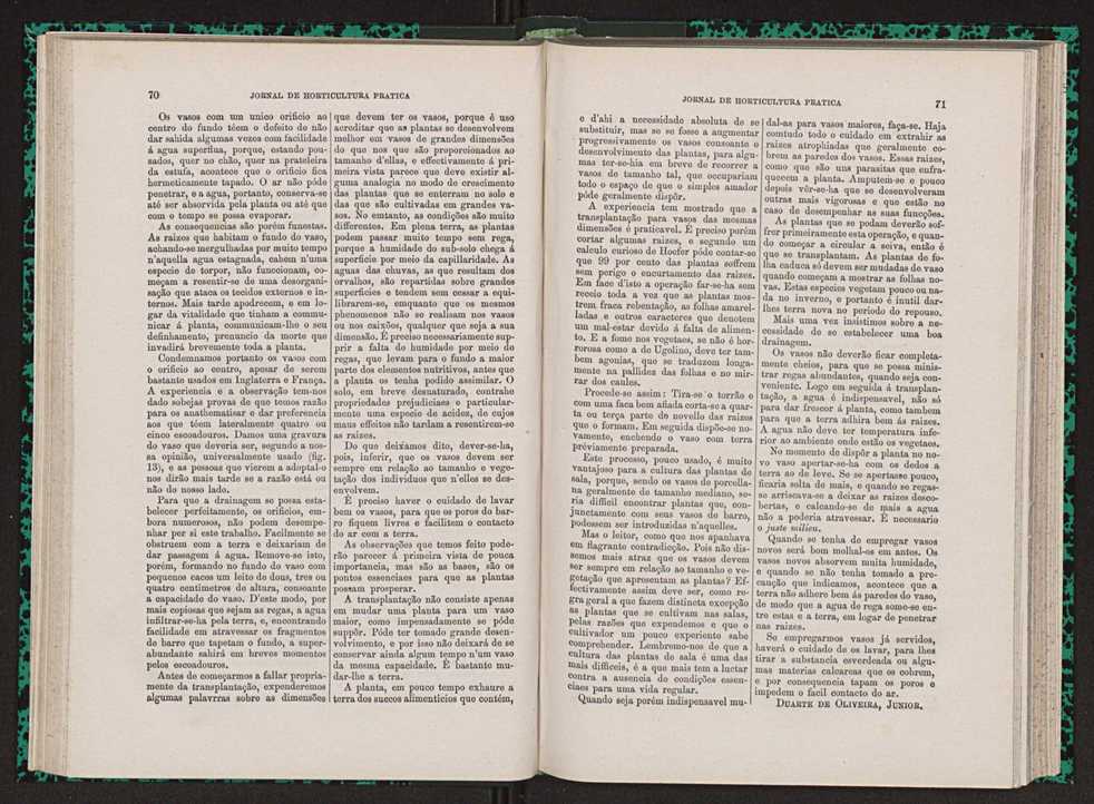 Jornal de horticultura prtica VII 47