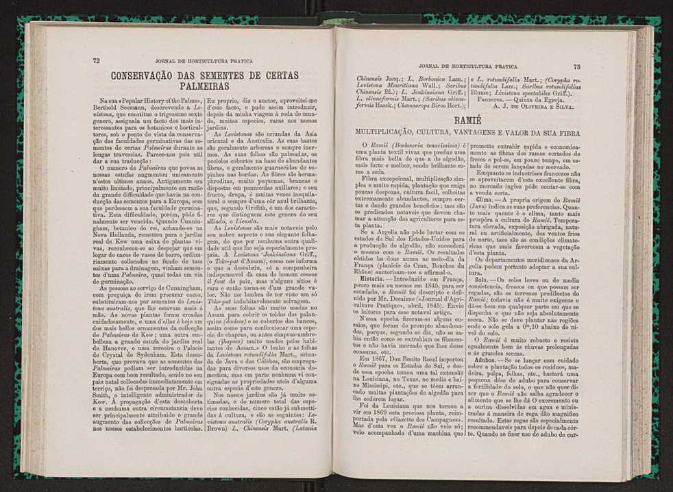 Jornal de horticultura prtica VII 48