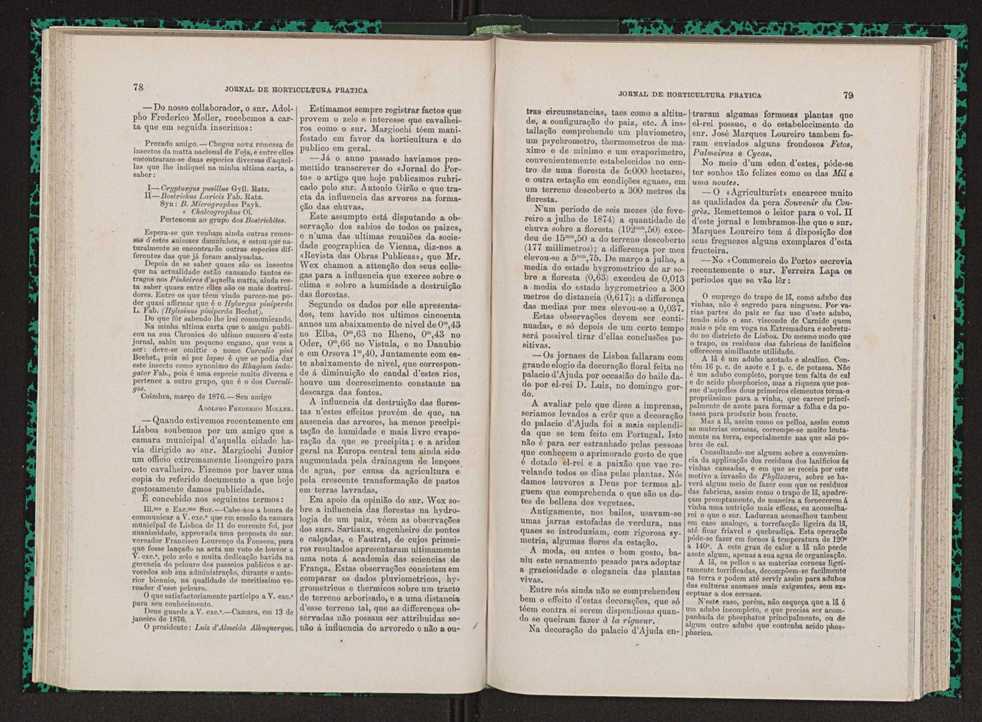 Jornal de horticultura prtica VII 51