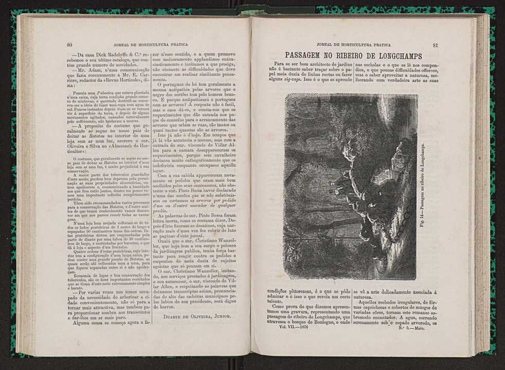 Jornal de horticultura prtica VII 52