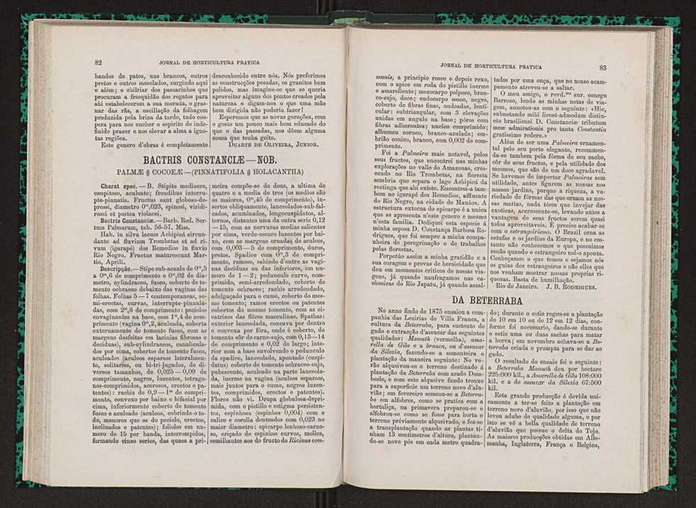 Jornal de horticultura prtica VII 53