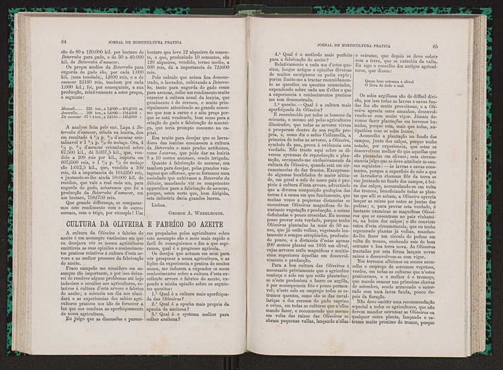 Jornal de horticultura prtica VII 54