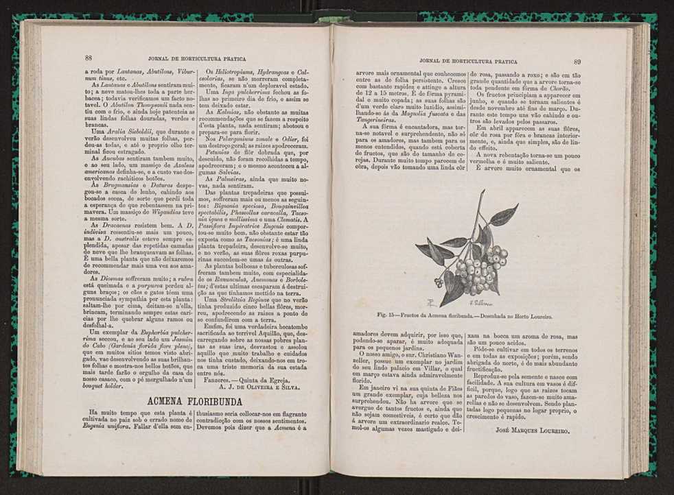 Jornal de horticultura prtica VII 56