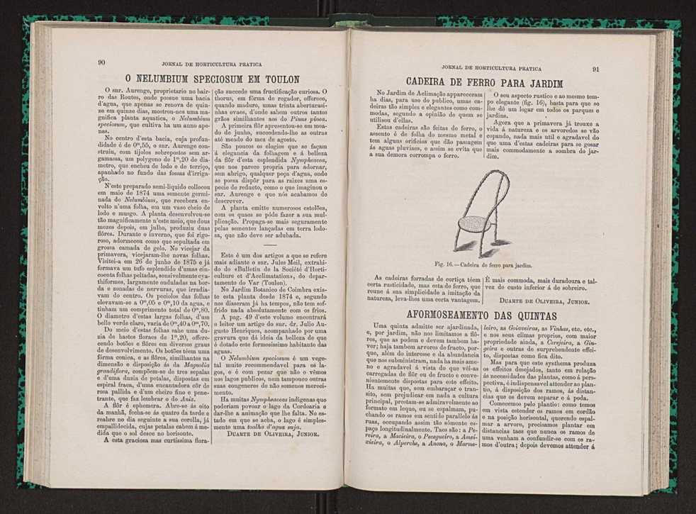 Jornal de horticultura prtica VII 57