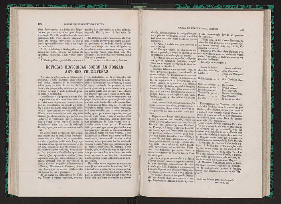 Jornal de horticultura prtica VII 63