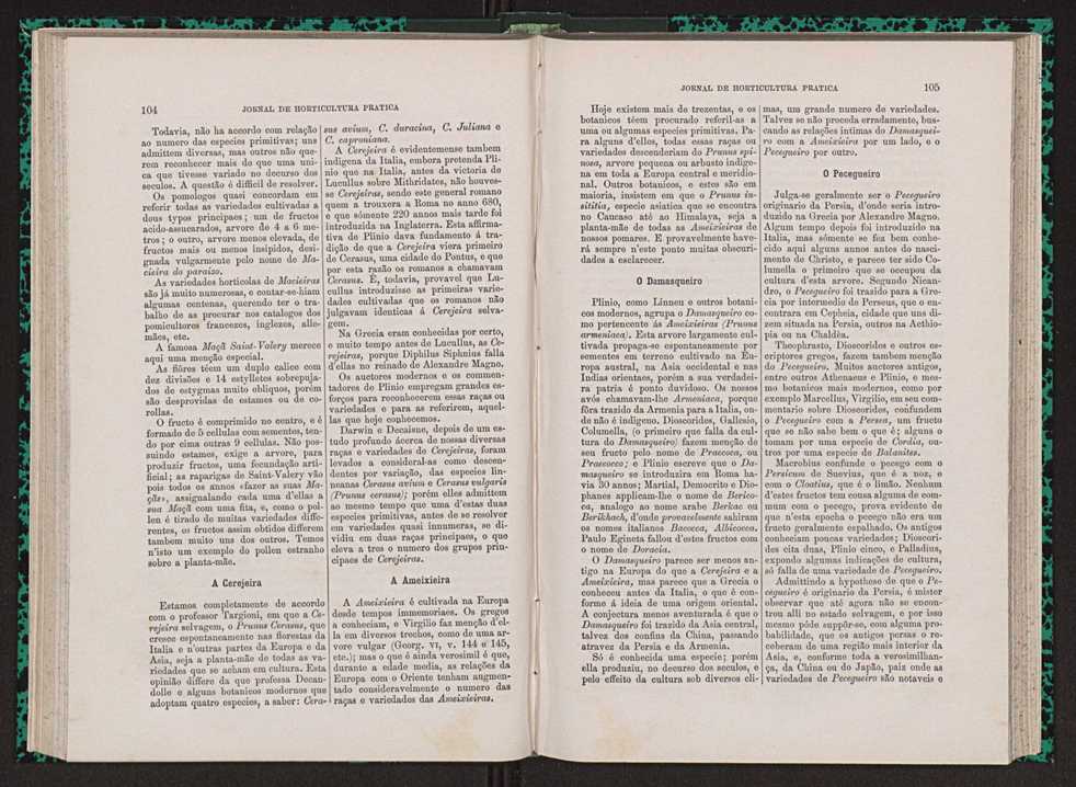 Jornal de horticultura prtica VII 64