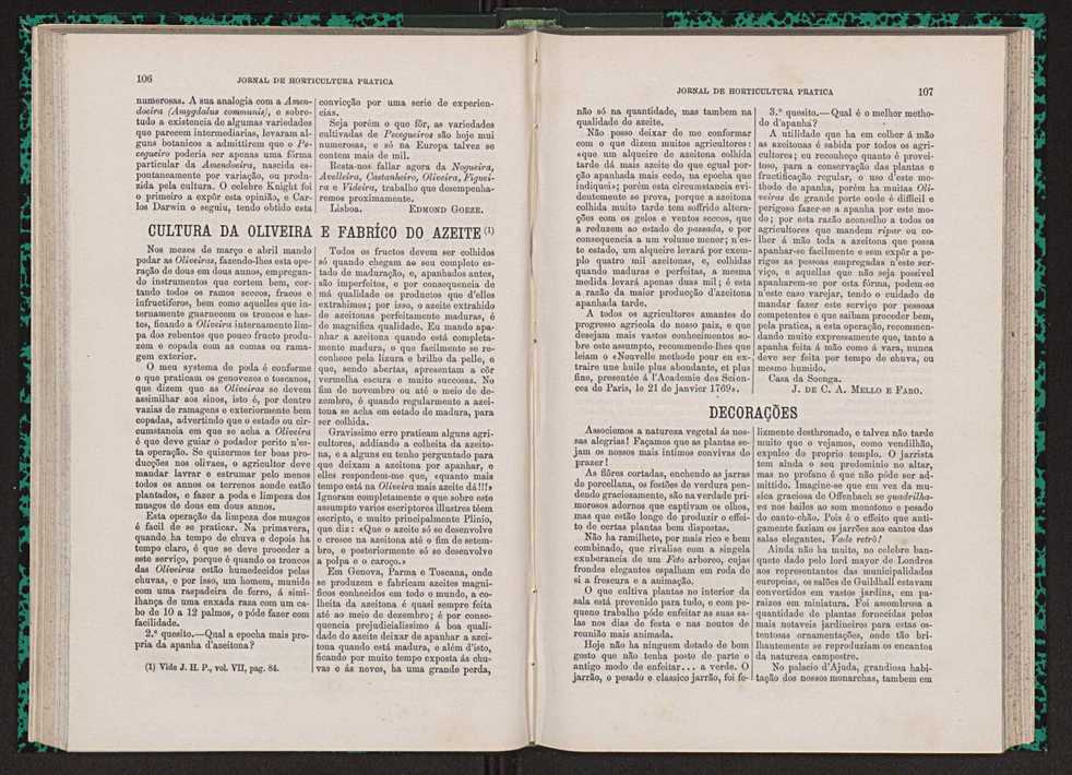 Jornal de horticultura prtica VII 65
