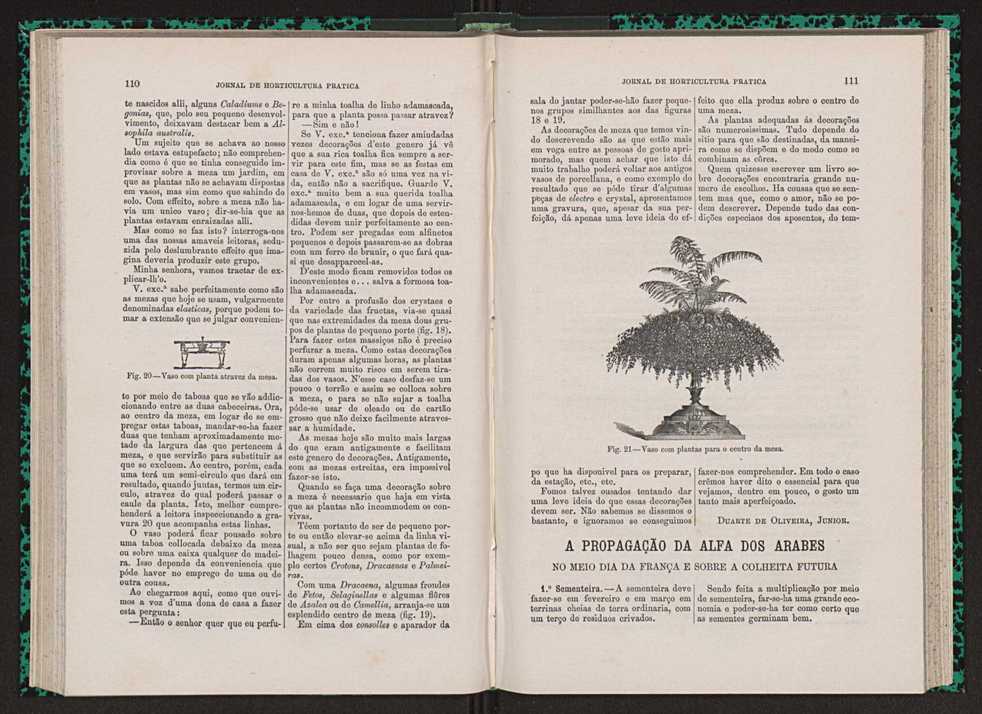 Jornal de horticultura prtica VII 67