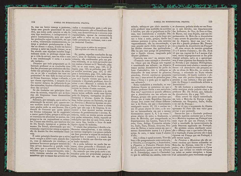 Jornal de horticultura prtica VII 69