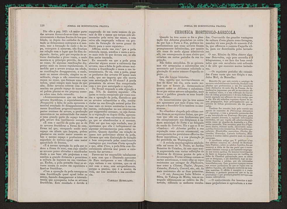 Jornal de horticultura prtica VII 71