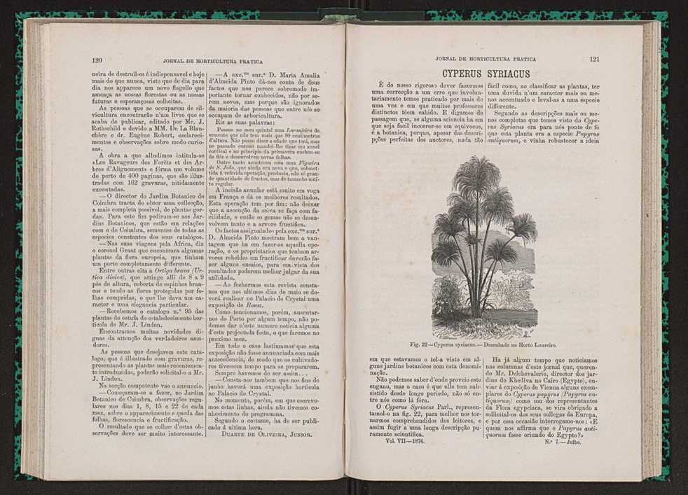 Jornal de horticultura prtica VII 72
