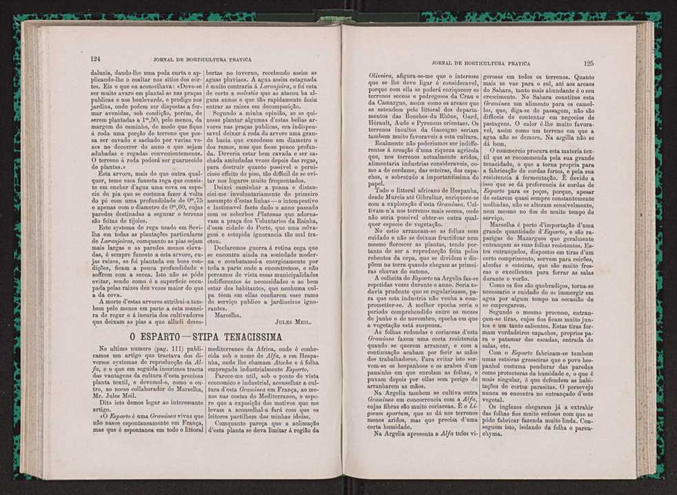 Jornal de horticultura prtica VII 74