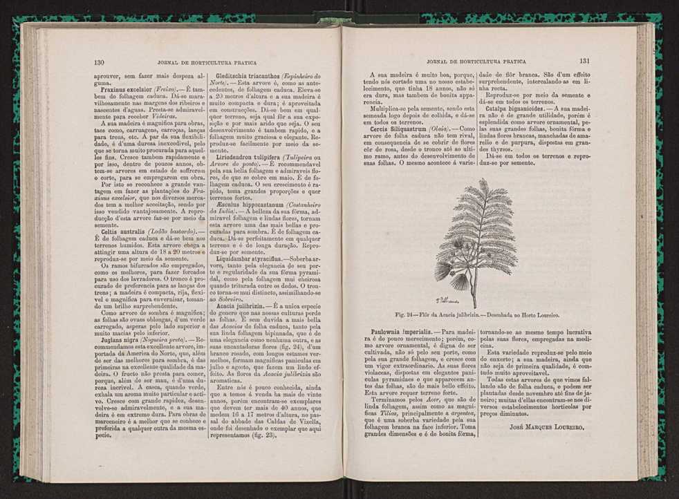Jornal de horticultura pr�tica VII 77
