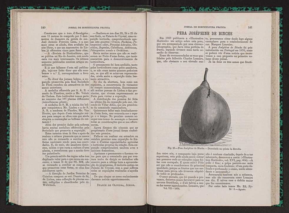 Jornal de horticultura prtica VII 82