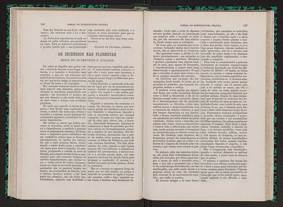 Jornal de horticultura prtica VII 85
