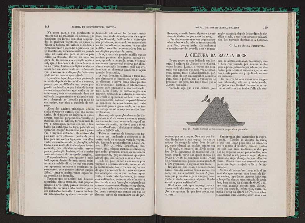 Jornal de horticultura prtica VII 86