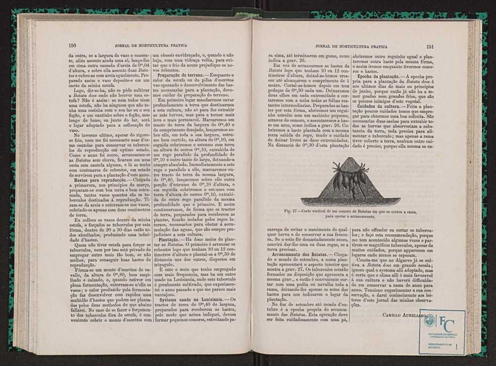Jornal de horticultura prtica VII 87