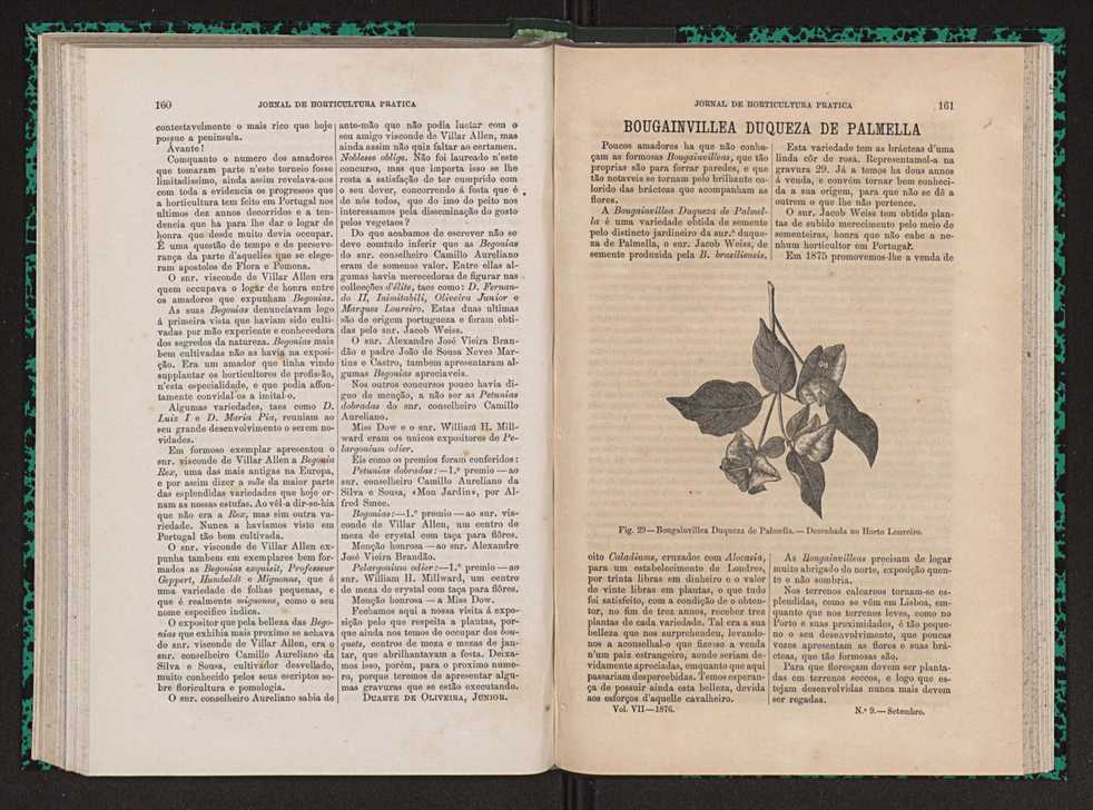 Jornal de horticultura prtica VII 92