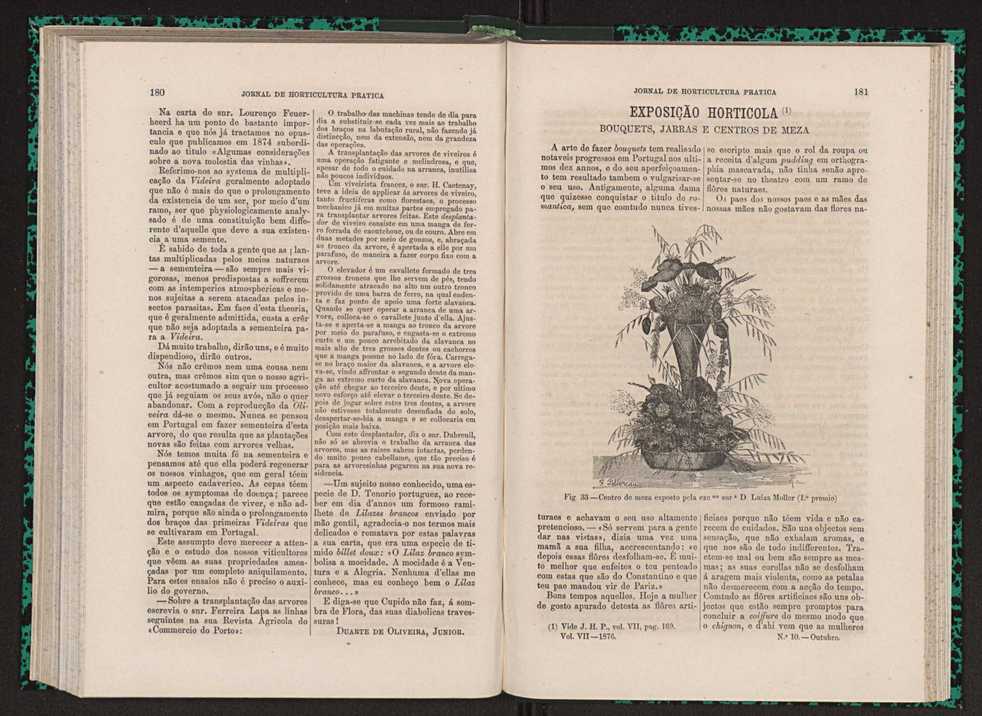 Jornal de horticultura prtica VII 102