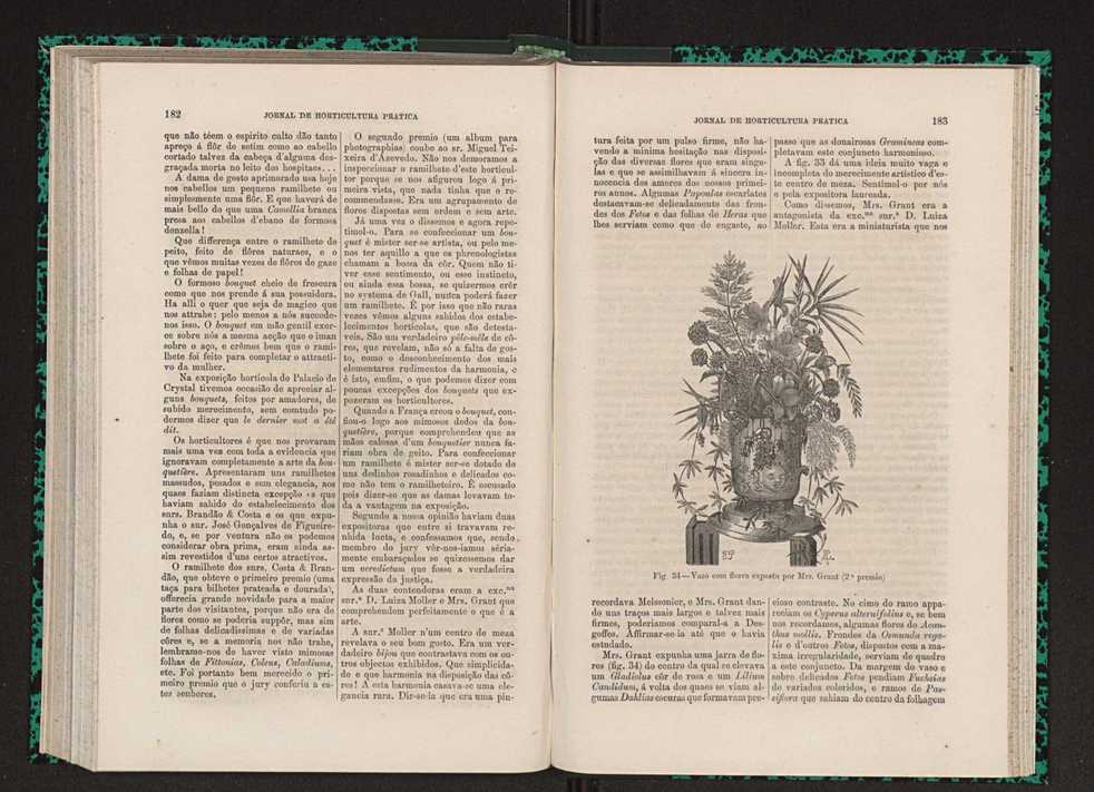 Jornal de horticultura prtica VII 103