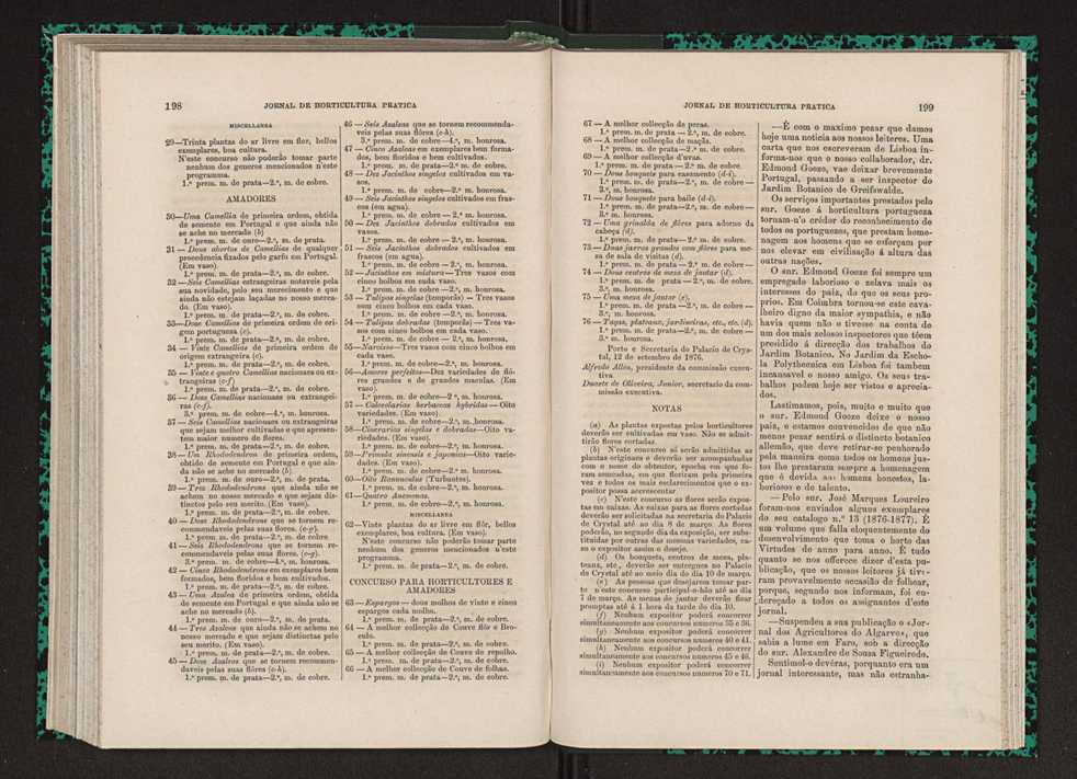 Jornal de horticultura prtica VII 111