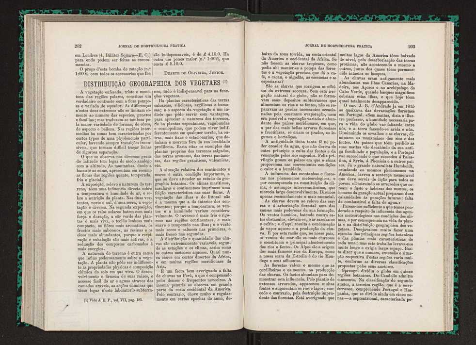 Jornal de horticultura prtica VII 113