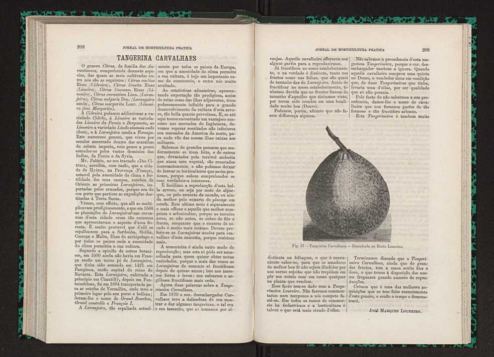 Jornal de horticultura prtica VII 116