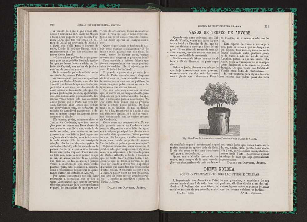 Jornal de horticultura prtica VII 122