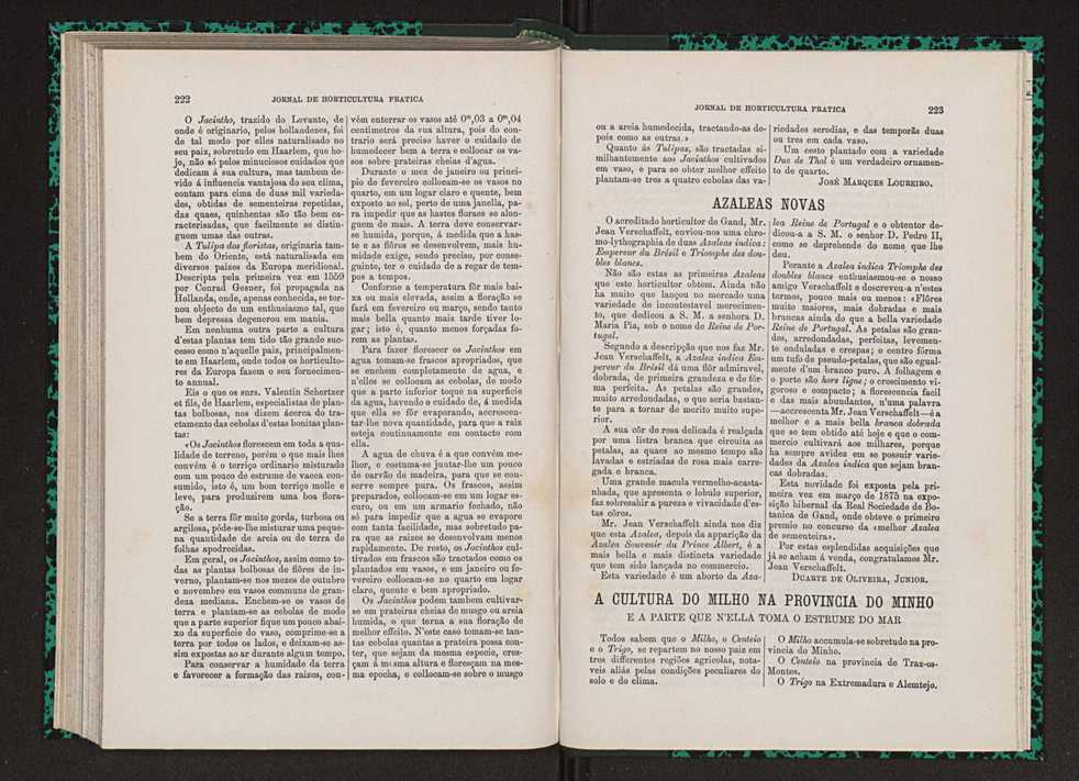 Jornal de horticultura prtica VII 123