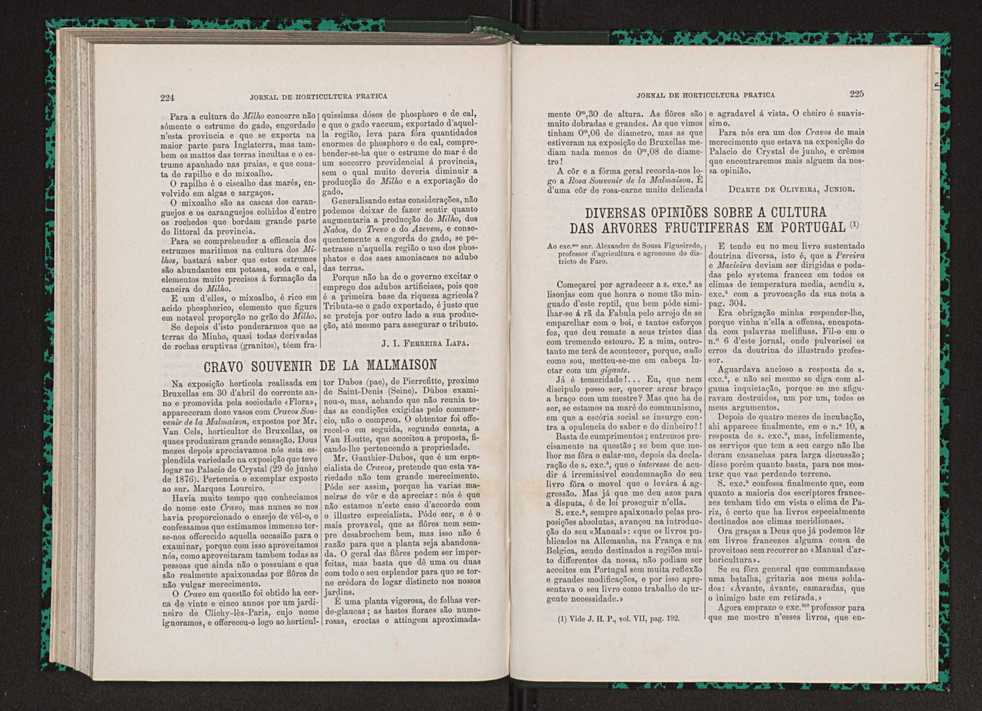 Jornal de horticultura prtica VII 124