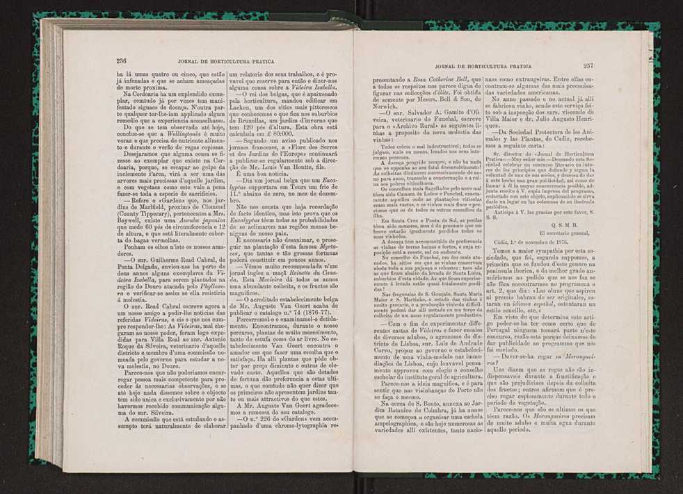 Jornal de horticultura prtica VII 130