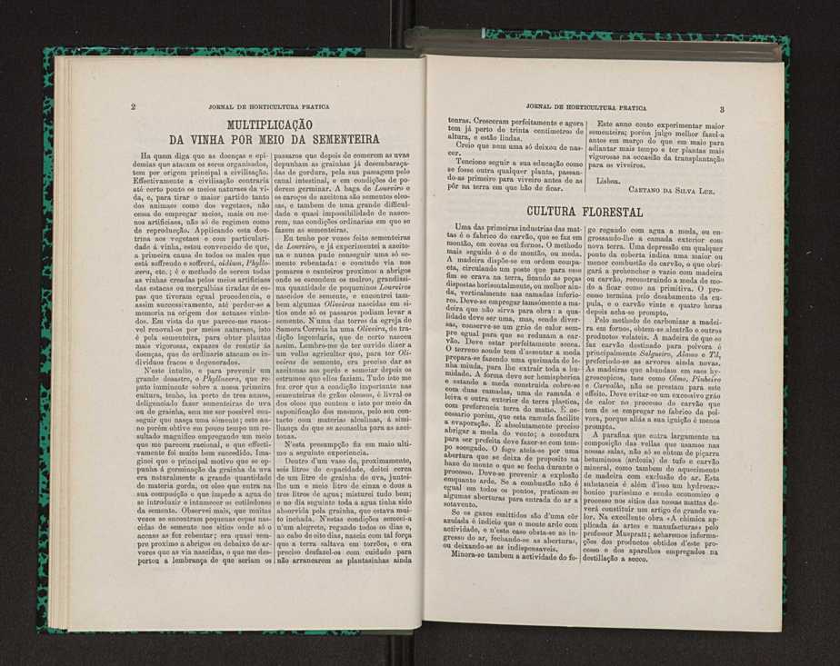 Jornal de horticultura pr�tica VIII 12