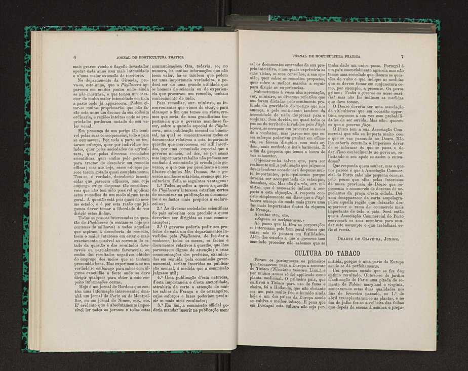 Jornal de horticultura pr�tica VIII 14