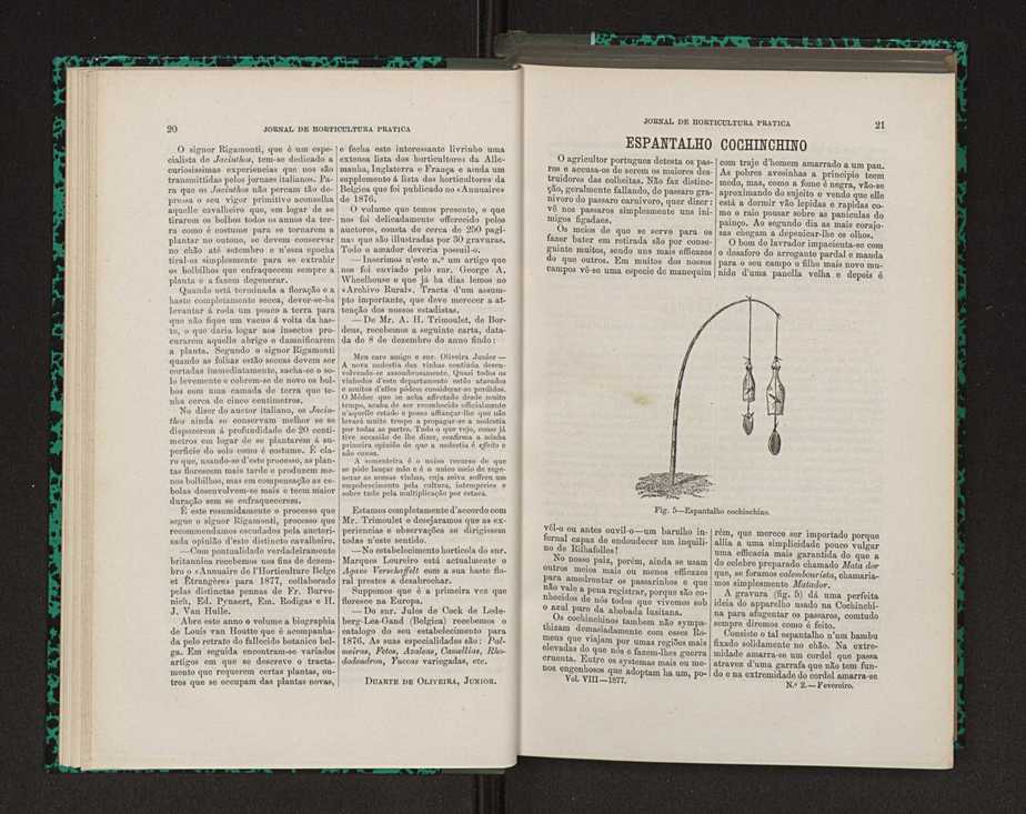 Jornal de horticultura prtica VIII 21