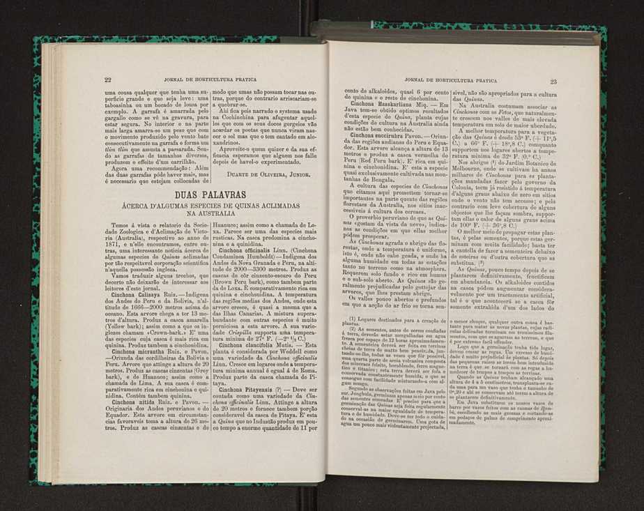 Jornal de horticultura prtica VIII 22