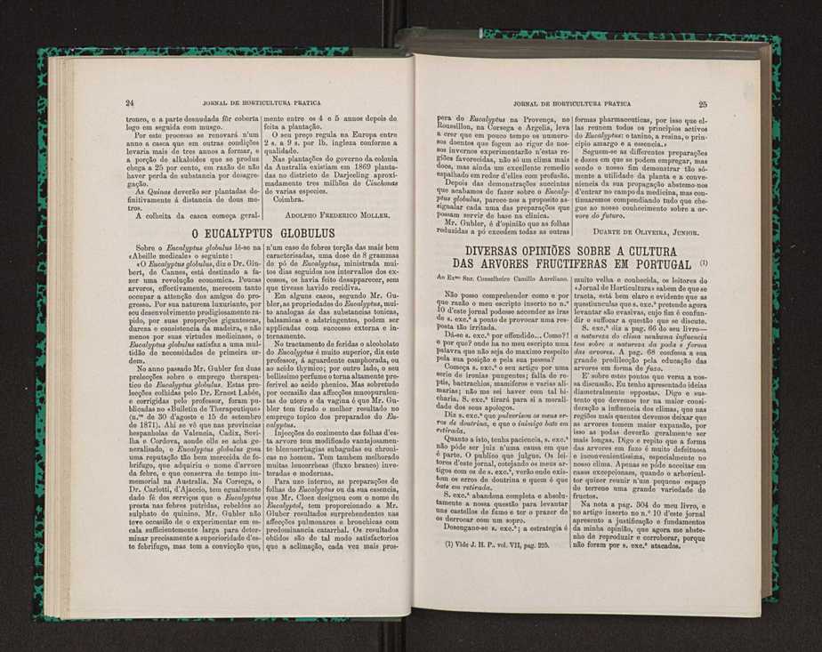Jornal de horticultura prtica VIII 23