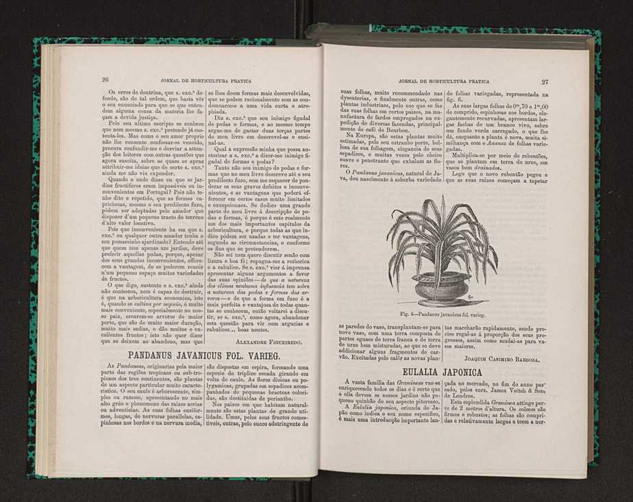 Jornal de horticultura prtica VIII 24