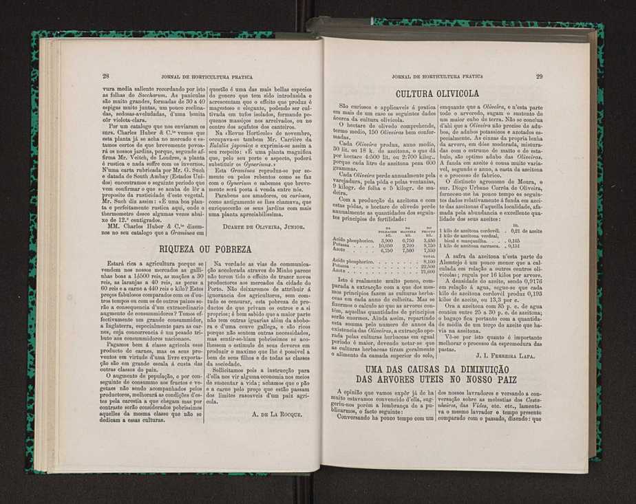Jornal de horticultura prtica VIII 25