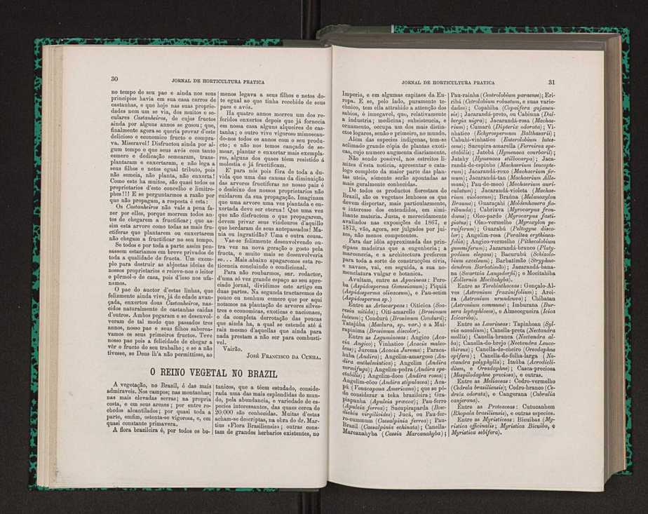 Jornal de horticultura prtica VIII 26
