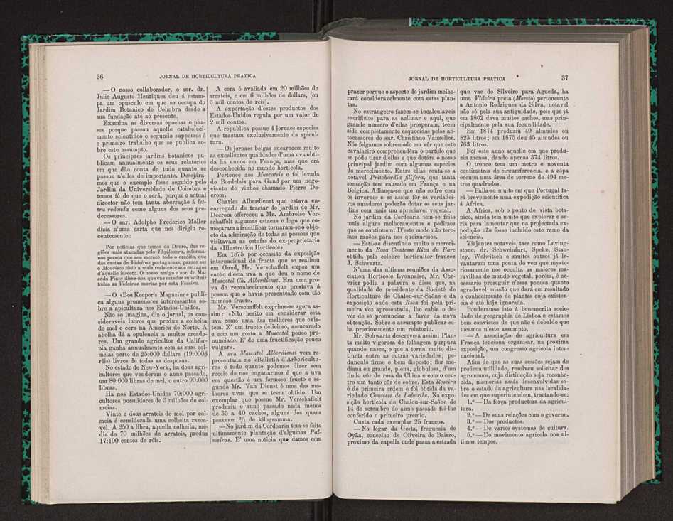 Jornal de horticultura prtica VIII 29