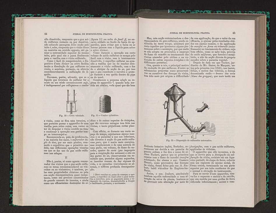 Jornal de horticultura prtica VIII 32