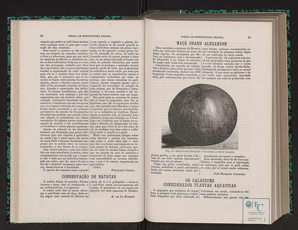 Jornal de horticultura prtica VIII 35