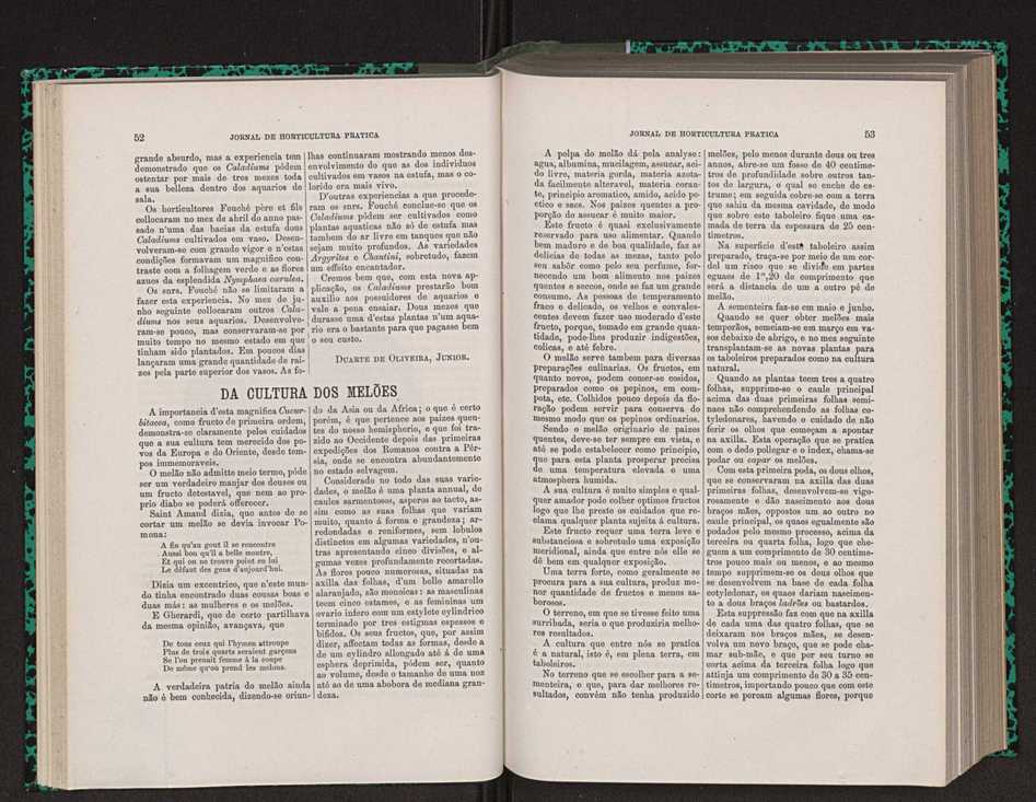 Jornal de horticultura prtica VIII 36